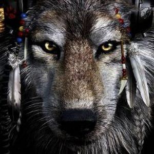 Meet your Posher, Vin